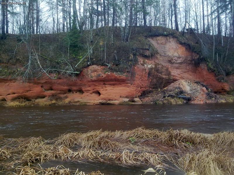 --���� ������. - ������� (����������)