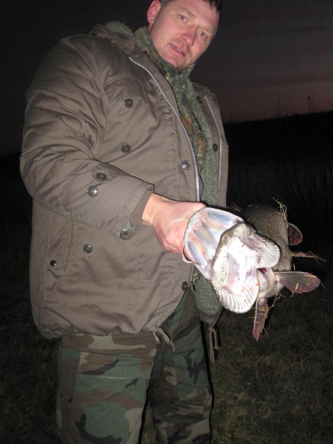 --HECHT - ������� (����������)