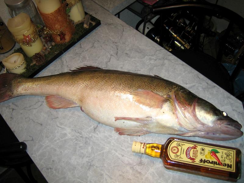 --90c� 7��.200�. ��� ������ ������� ��� ���? - ������� (����������)