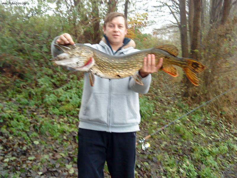 --����� 92 �� - ������� (����������)