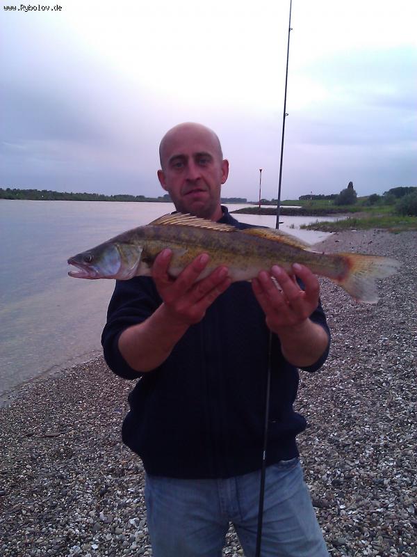 --����� �� ����� - ������� (����������)