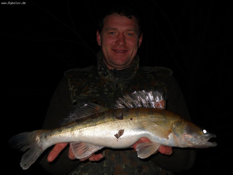 --ZANDER - ������� (����������)