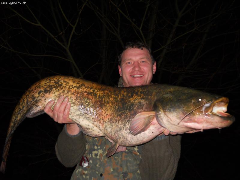 --WELS - ������� (����������)