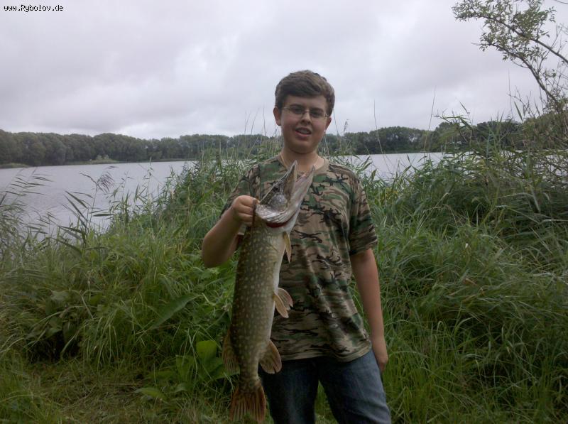 --� �������� ����� ... - ������� (����������)