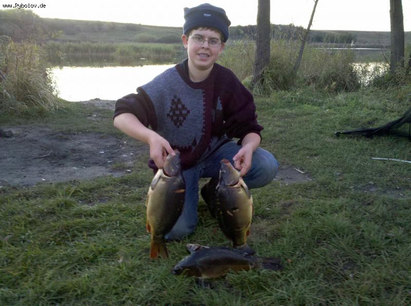 --���� ���������� ��� - ������� (����������)