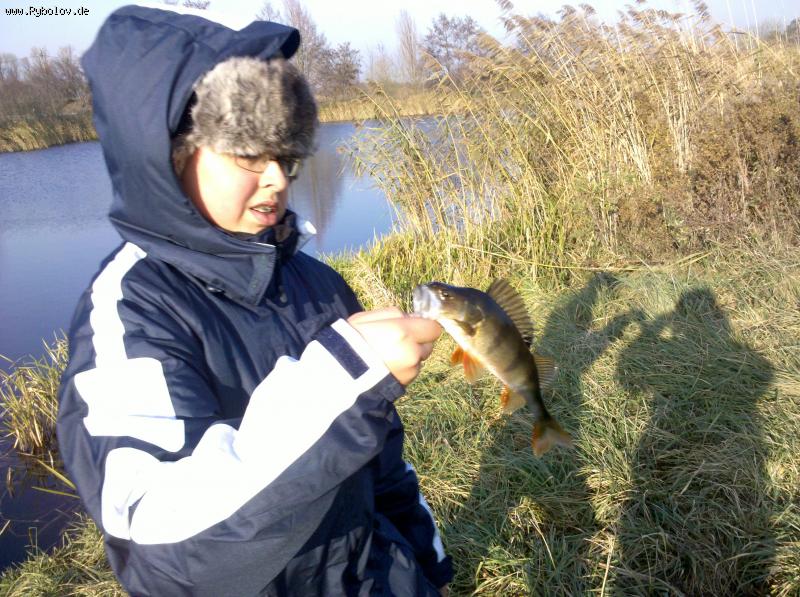 --������ �����, ����� ����� - ������� (����������)