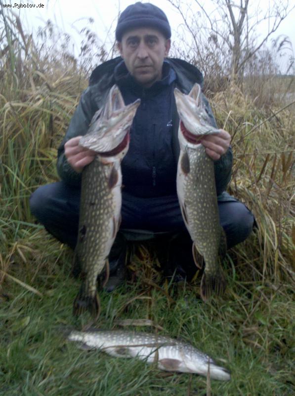 --� ��� ��� ... - ������� (����������)