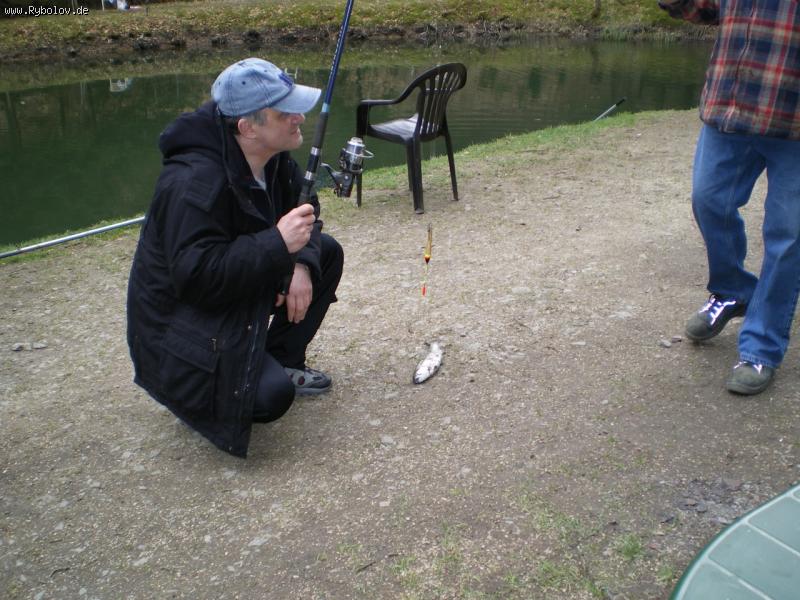 --������ ����� � �������� - ������� (����������)