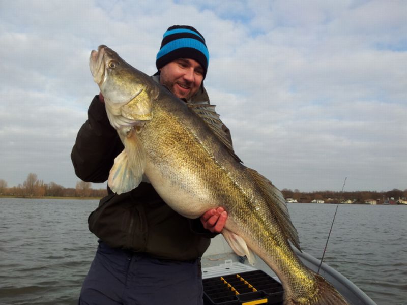 --1.03 m Zander -  ()