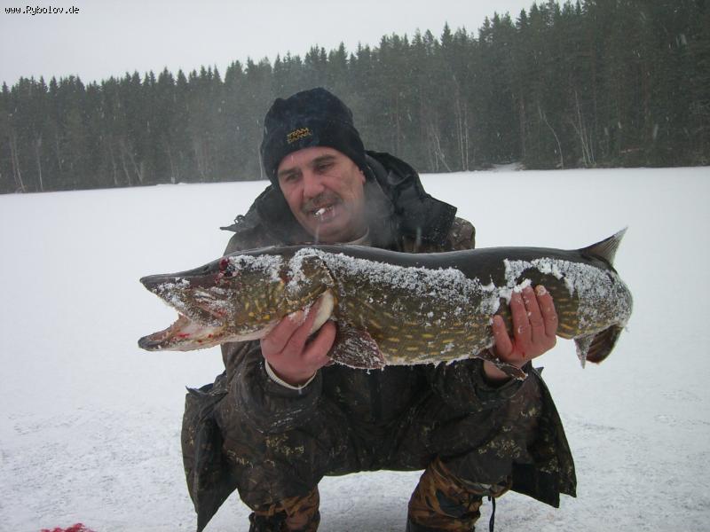 --sweden2012 - ������� (����������)