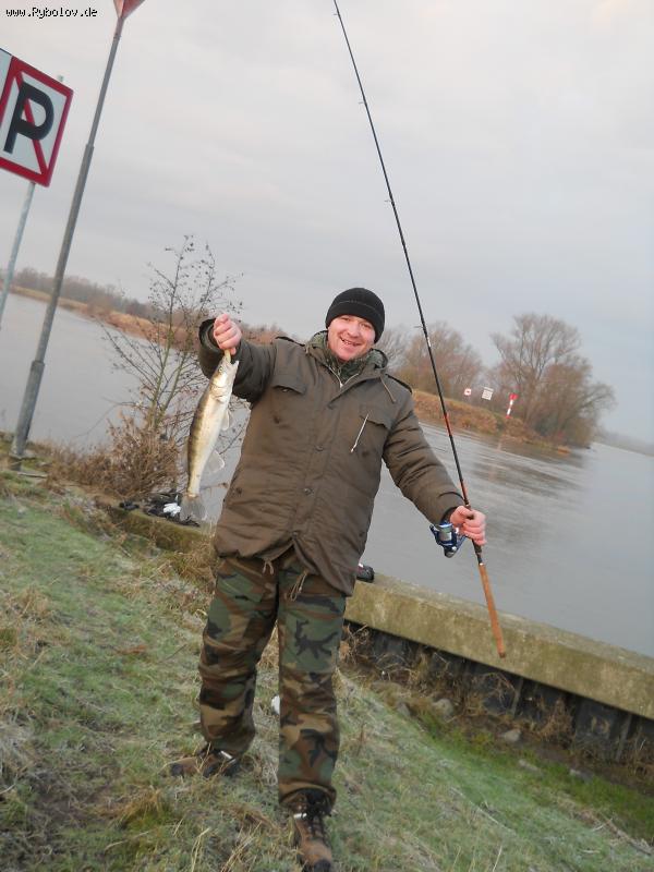 --Winter 2012 -  ()