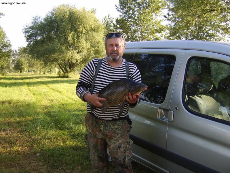 --��� ��������� ���� - ������� (����������)