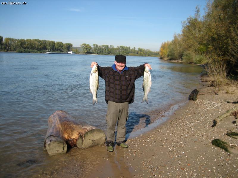--.Rhein -  ()