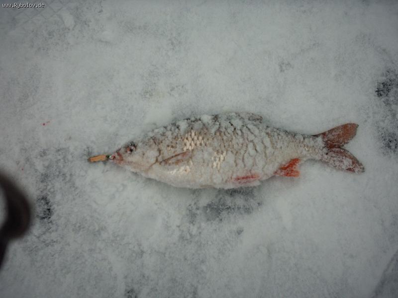 --������ �� ������� - ������� (����������)