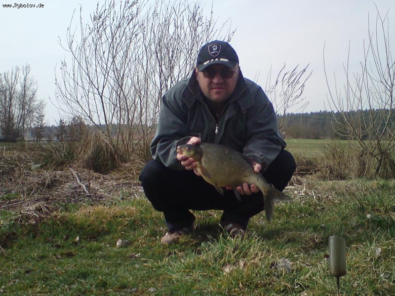 --���� - ������� (����������)