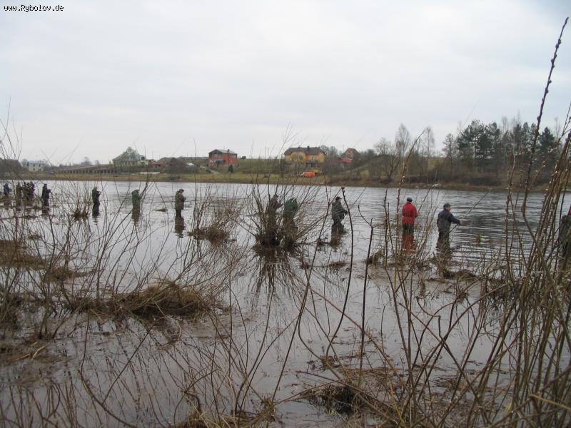 --���� ������ ����� - ������� (����������)