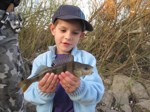 --MAKS NACLAJDAETCJA -  ()