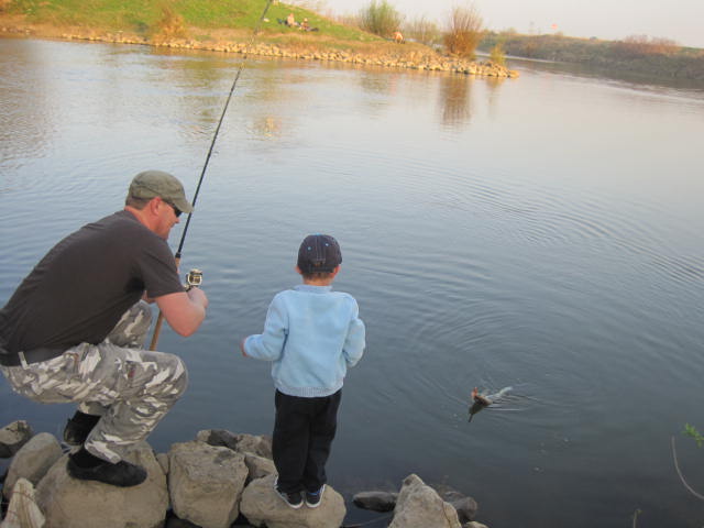 --ESCHE POKLEWKA -  ()