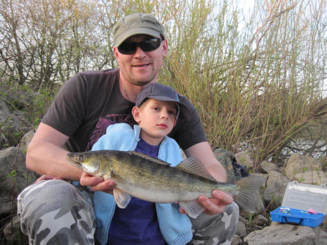 --BECHEREET - ������� (����������)