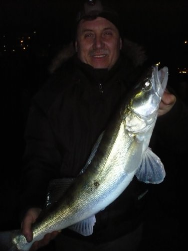 --Zander 75sm,3kg -  ()