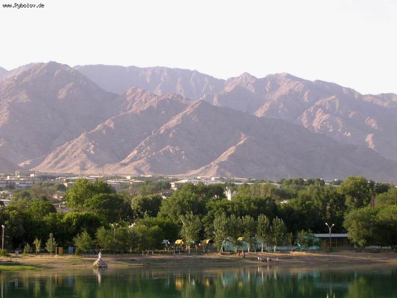 --���-�����. ����������� ���� ������ ���������� (�����������). - ������� (����������)