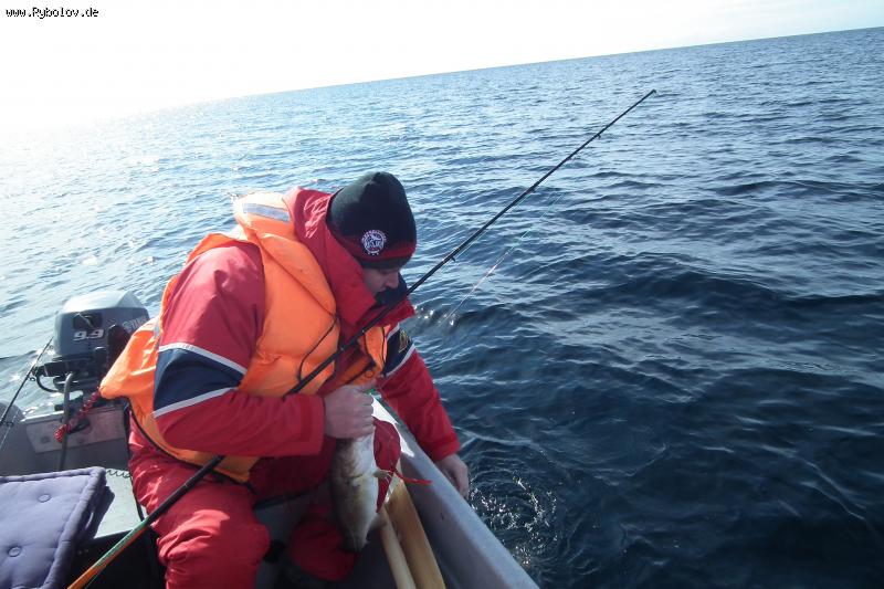 --���������..���� - ������� (����������)