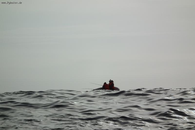 --������ �� ��������...(((( - ������� (����������)