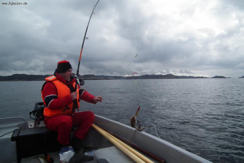 --� ��� ����� �����...))) - ������� (����������)