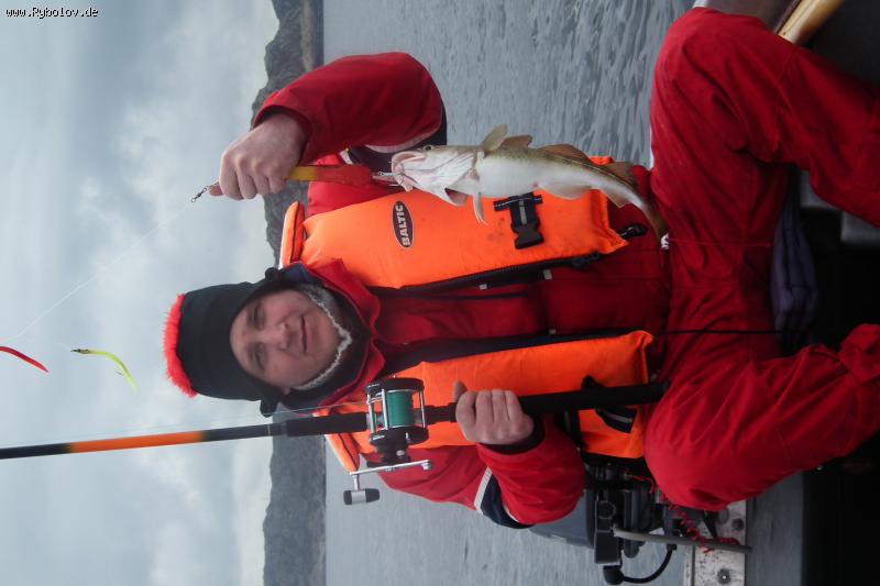 --��� ������ � �������� ����������.... - ������� (����������)