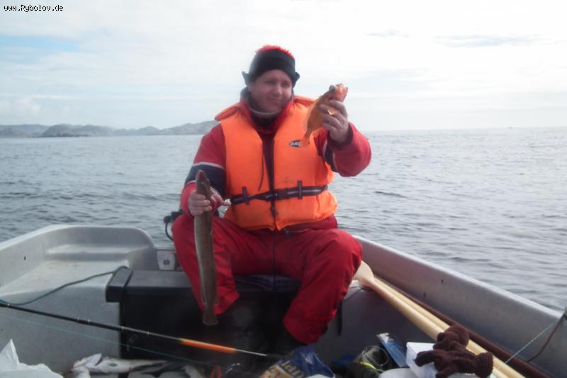 --���� � �������... - ������� (����������)