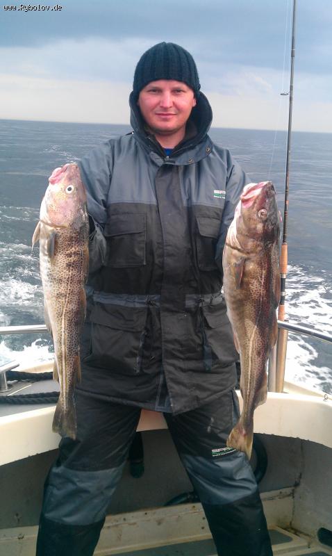 --����� Dorsch � ����� ������ ) - ������� (����������)