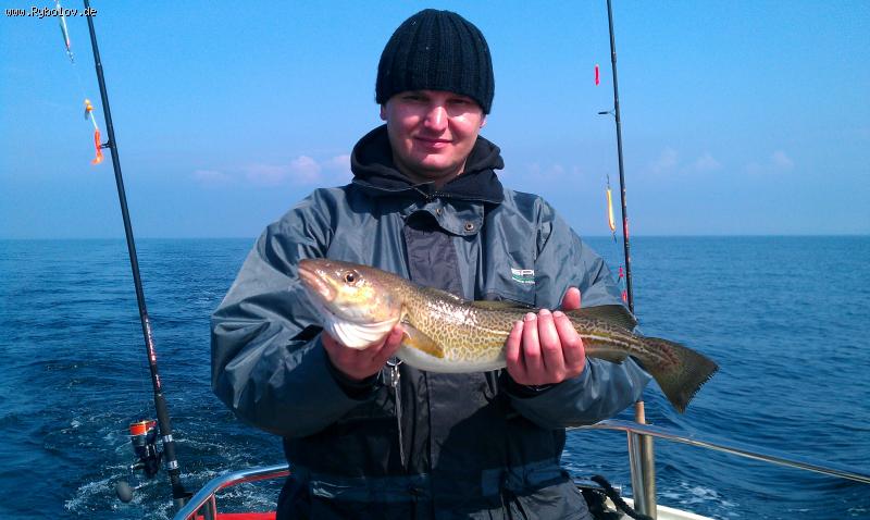 --���� �� ������ - ������� (����������)