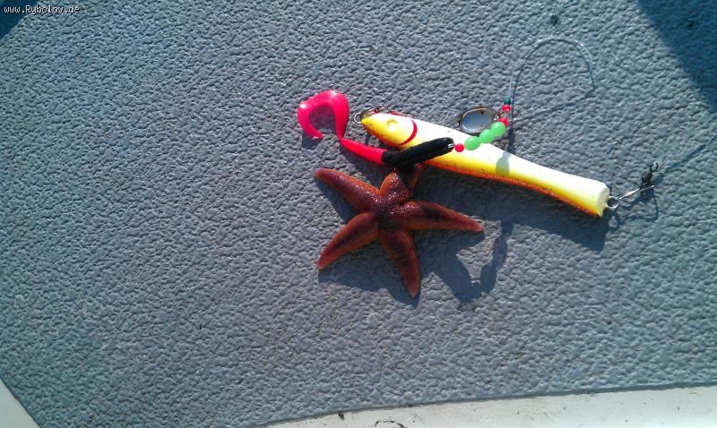 --������ ������ � ����� - ������� (����������)