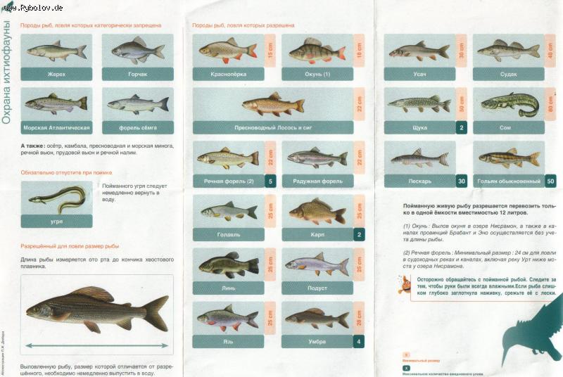 --������� ������� � ������ 2 - ������� (����������)