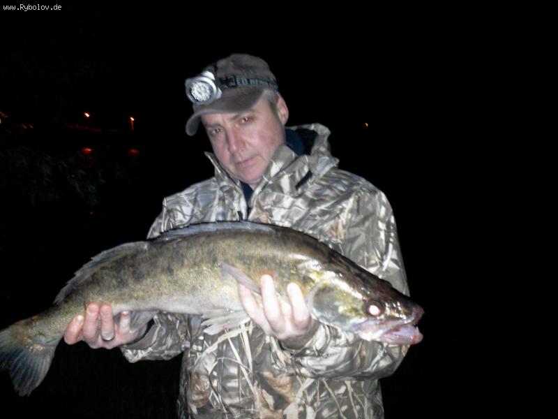 --���� - ������� (����������)