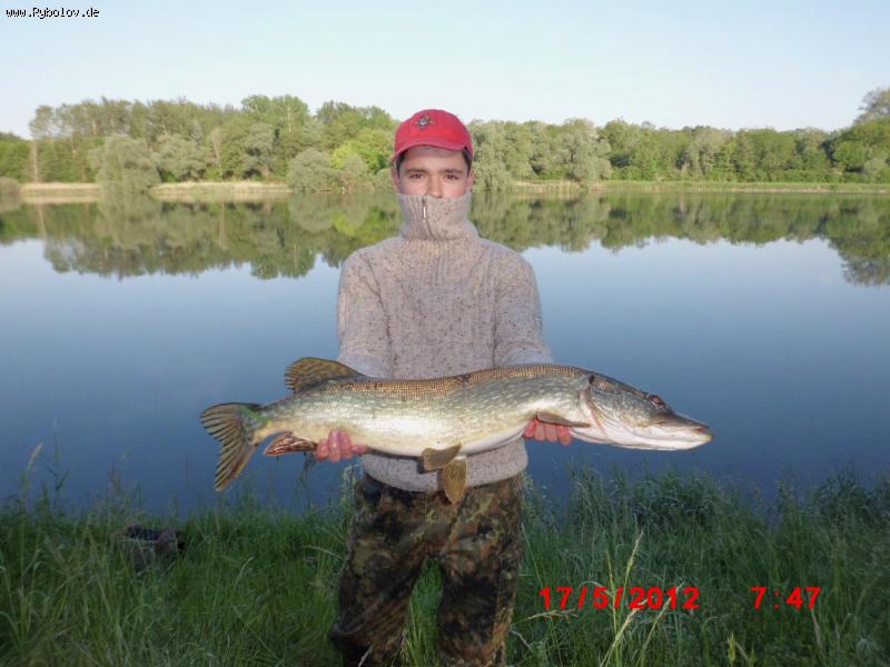 --Rhein - ������� (����������)