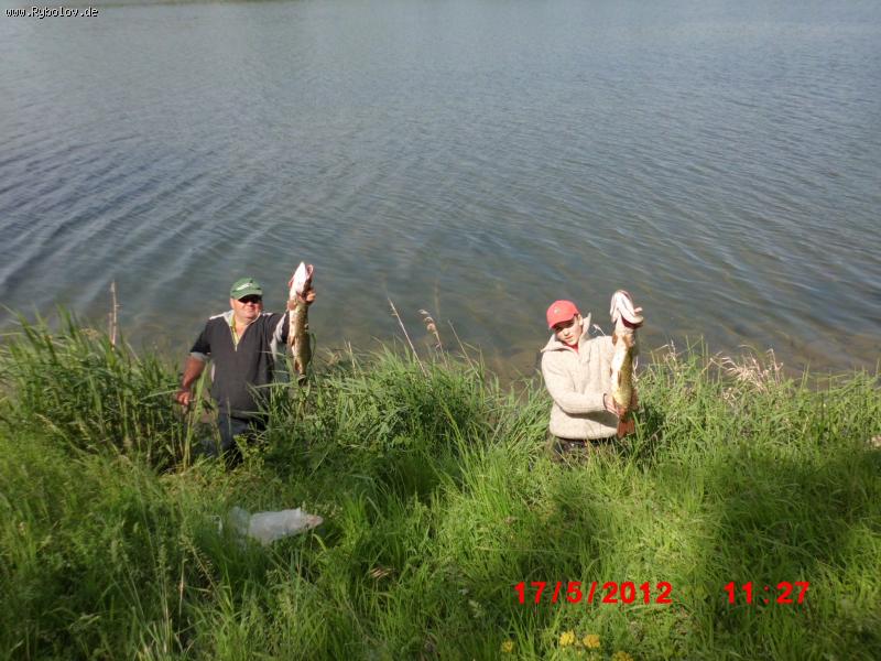 --Rhein - ������� (����������)