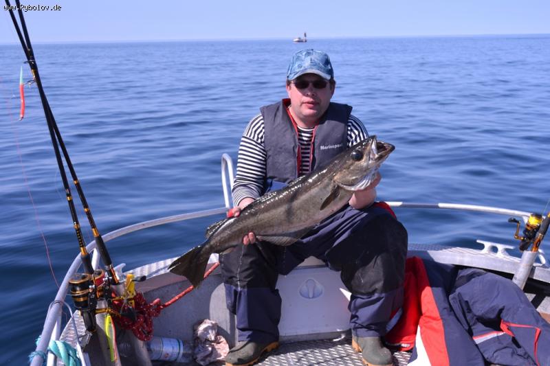 --�������� 2012. - ������� (����������)