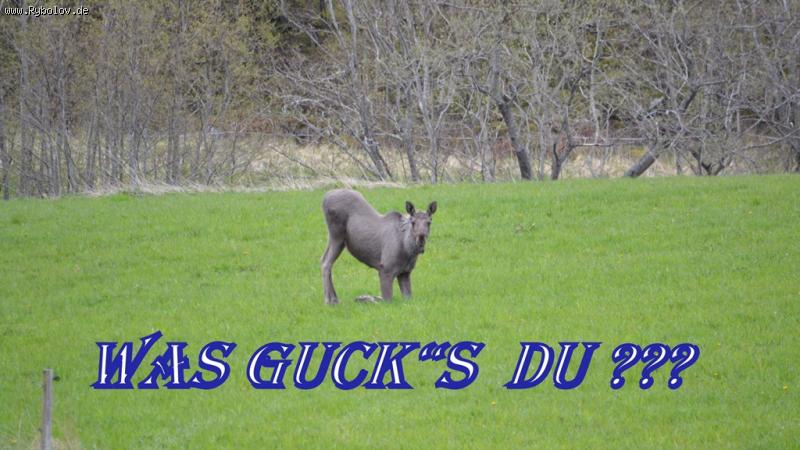 --�������� 2012. - ������� (����������)