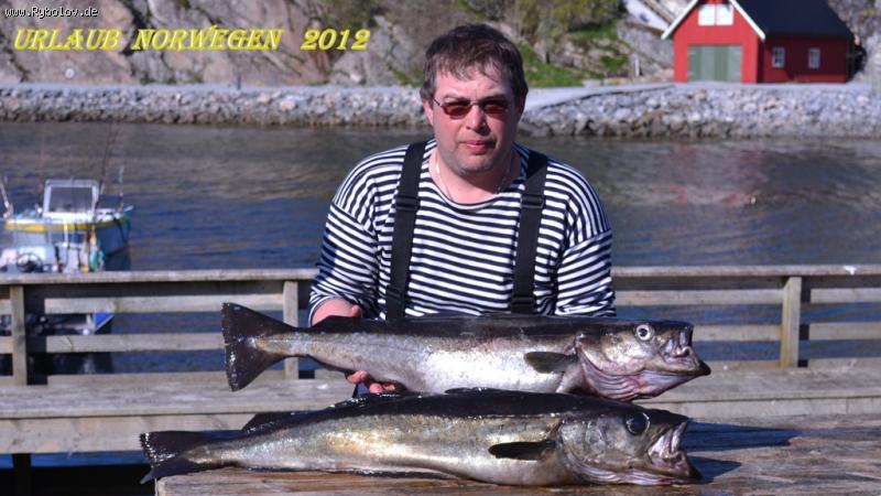 --�������� 2012. - ������� (����������)