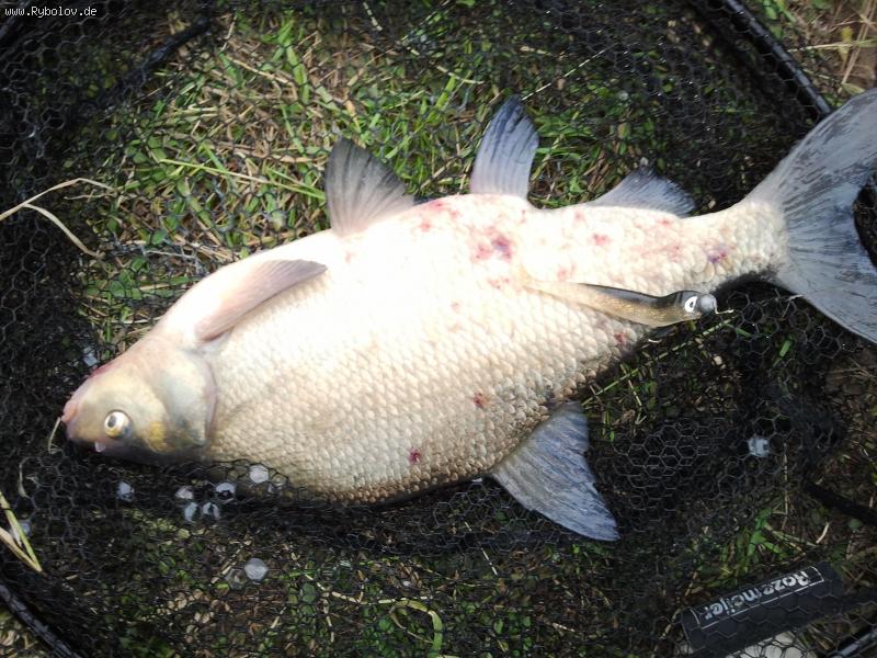 --2012 - ������� (����������)