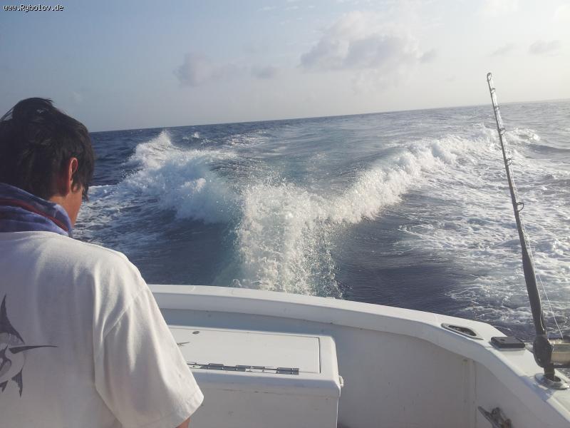 --� ���� �� ������ ��� - ������� (����������)