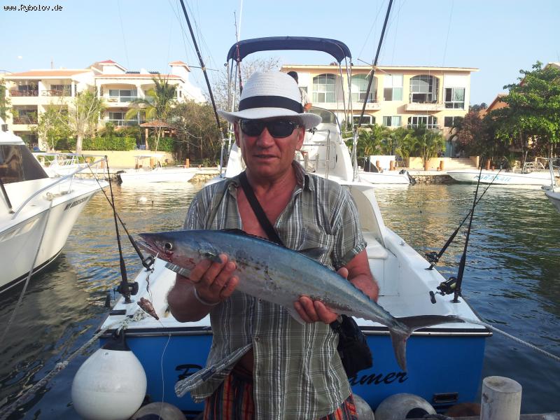 --                      -  ()