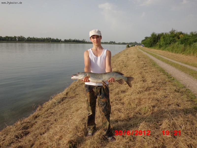 --Rhein - ������� (����������)