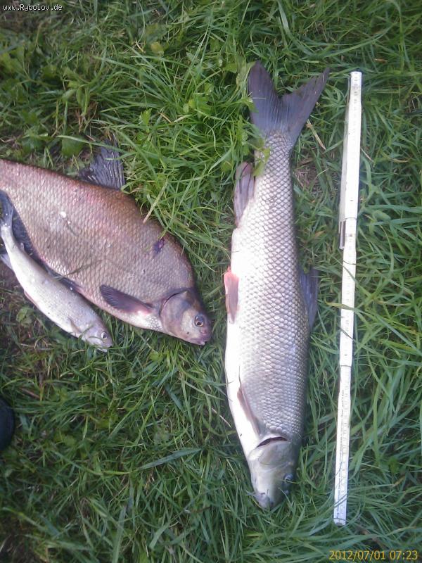 --��� - ������� (����������)