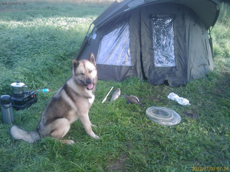 --�� ���������. - ������� (����������)