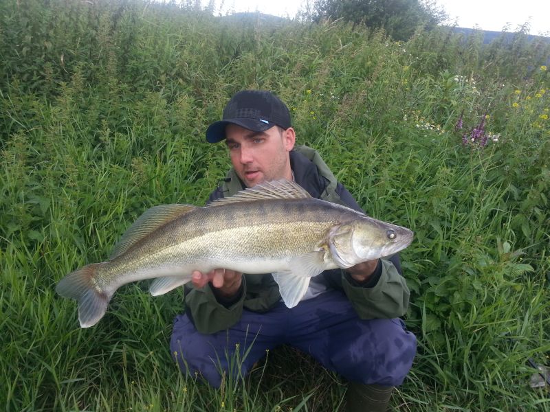 --Weser Zander - ������� (����������)