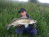 Weser Zander -  ()