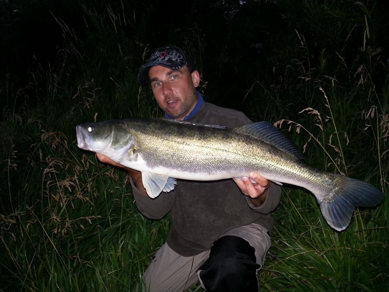 --Zander 70+ -  ()