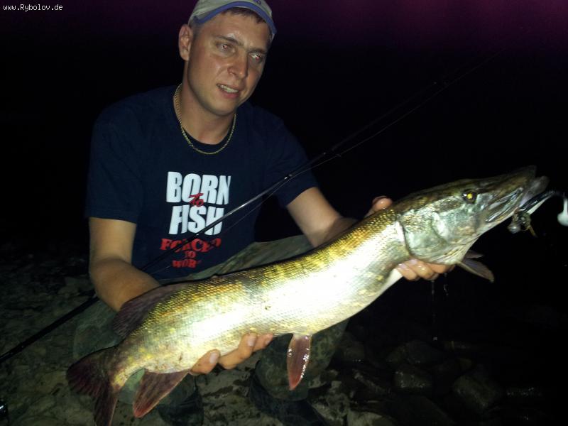 --2012 - ������� (����������)